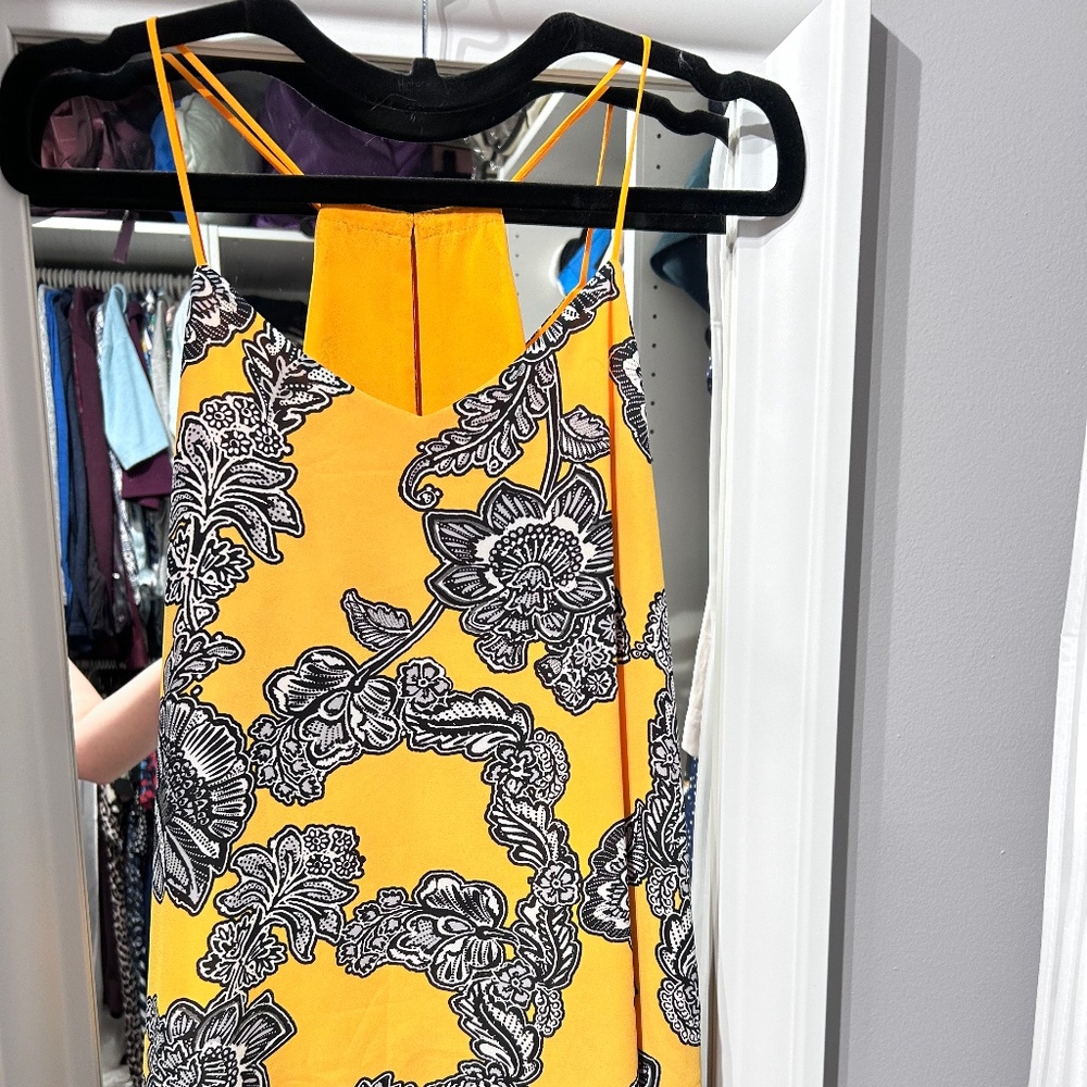 Express V-Neck Cami